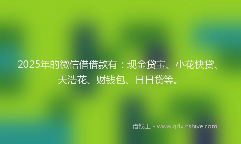 2025年的微信借借款有：现金贷宝、小花快贷、天浩花、财钱包、日日贷等。