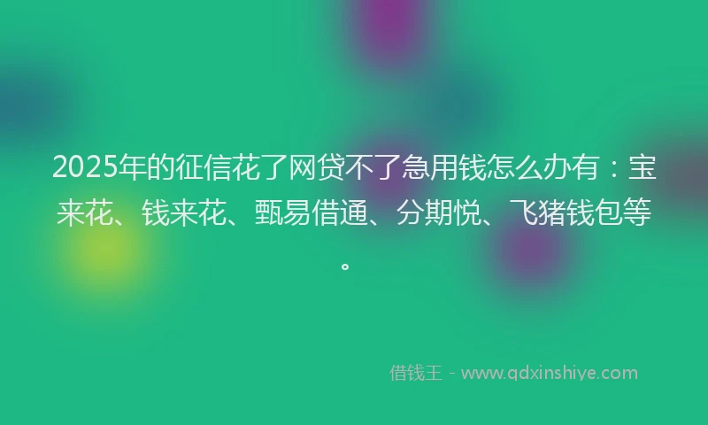 2025年的征信花了网贷不了急用钱怎么办有：宝来花、钱来花、甄易借通、分期悦、飞猪钱包等。
