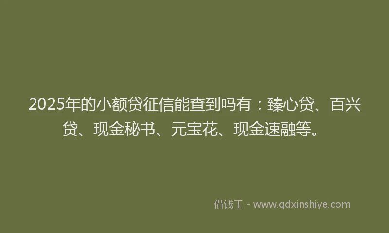 2025年的小额贷征信能查到吗有：臻心贷、百兴贷、现金秘书、元宝花、现金速融等。