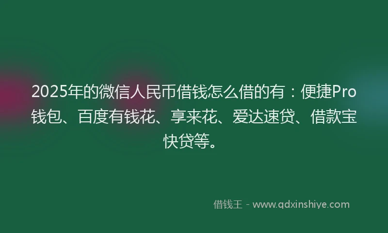 2025年的微信人民币借钱怎么借的有：便捷Pro钱包、百度有钱花、享来花、爱达速贷、借款宝快贷等。