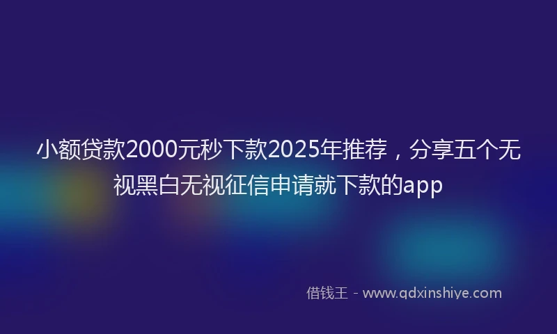 小额贷款2000元秒下款2025年推荐，分享五个无视黑白无视征信申请就下款的app