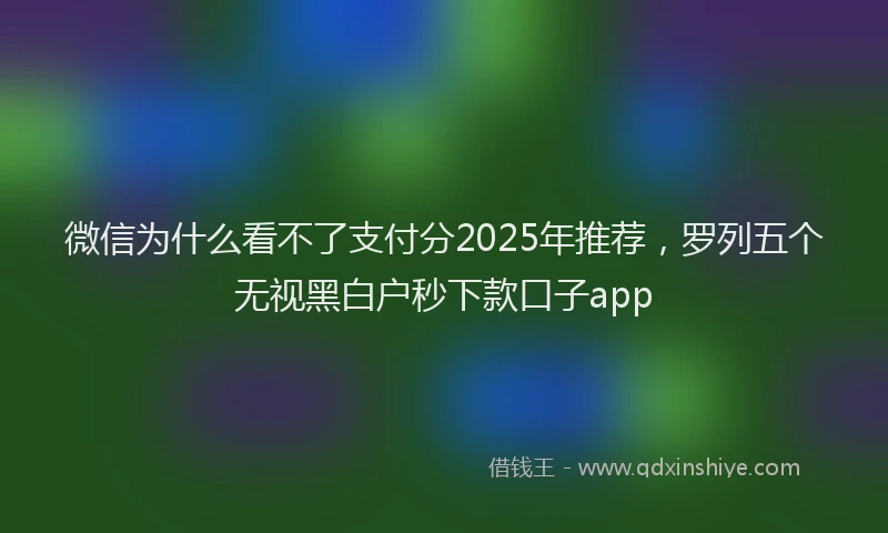 微信为什么看不了支付分2025年推荐，罗列五个无视黑白户秒下款口子app