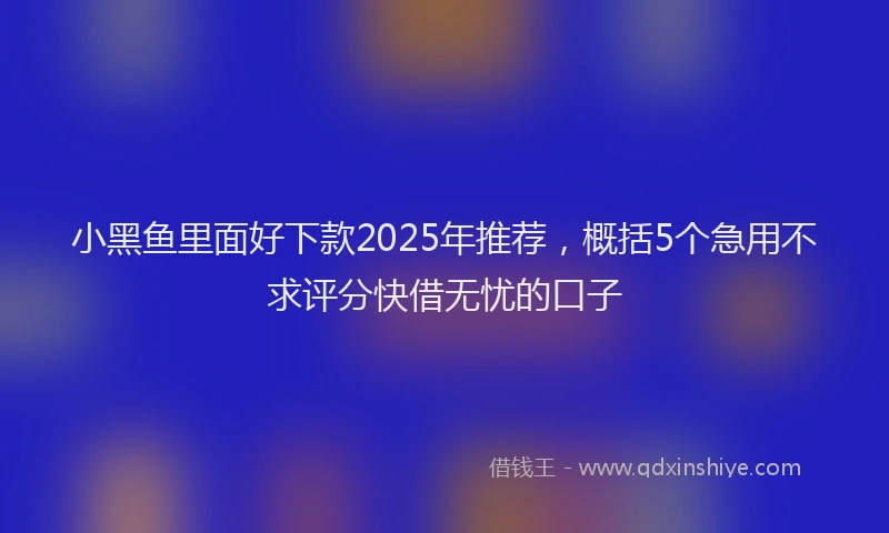 小黑鱼里面好下款2025年推荐，概括5个急用不求评分快借无忧的口子