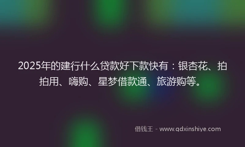 2025年的建行什么贷款好下款快有：银杏花、拍拍用、嗨购、星梦借款通、旅游购等。