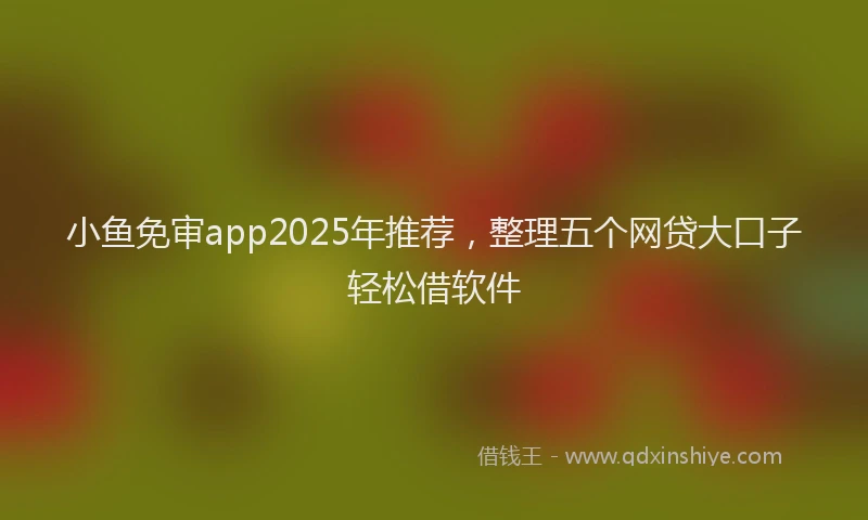 小鱼免审app2025年推荐，整理五个网贷大口子轻松借软件