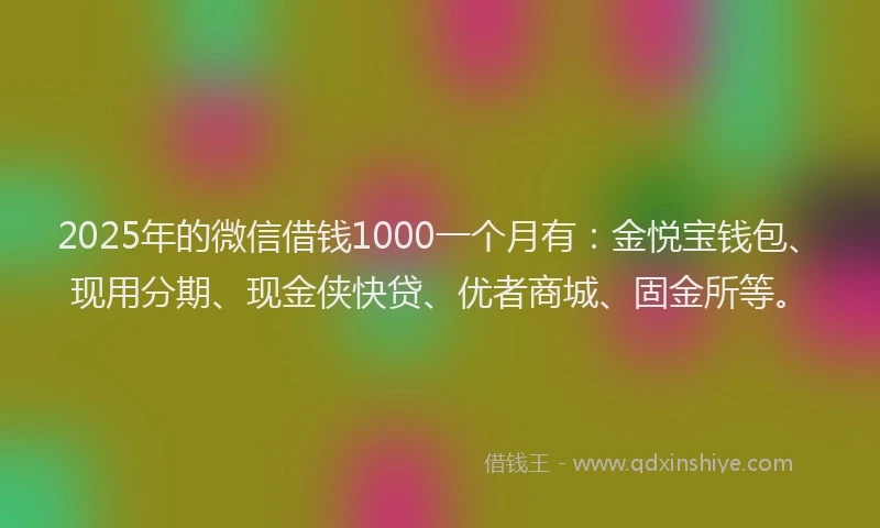 2025年的微信借钱1000一个月有：金悦宝钱包、现用分期、现金侠快贷、优者商城、固金所等。
