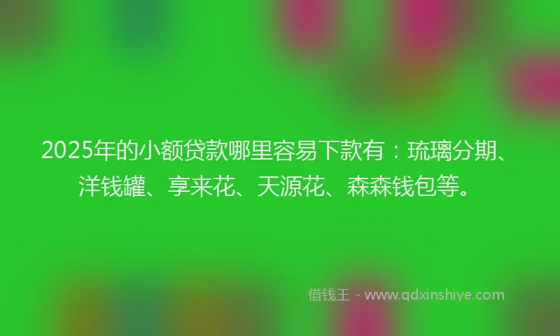 2025年的小额贷款哪里容易下款有：琉璃分期、洋钱罐、享来花、天源花、森森钱包等。