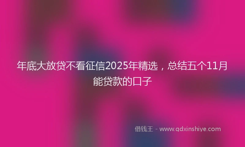年底大放贷不看征信2025年精选，总结五个11月能贷款的口子