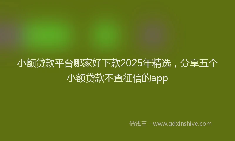 小额贷款平台哪家好下款2025年精选，分享五个小额贷款不查征信的app