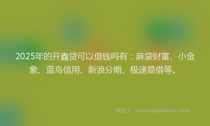 2025年的开鑫贷可以借钱吗有：麻袋财富、小金象、蓝鸟信用、新浪分期、极速易借等。