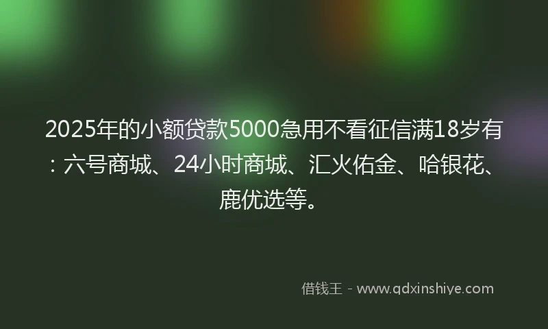 2025年的小额贷款5000急用不看征信满18岁有：六号商城、24小时商城、汇火佑金、哈银花、鹿优选等。