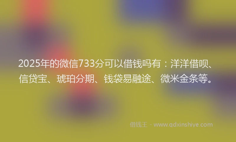 2025年的微信733分可以借钱吗有：洋洋借呗、信贷宝、琥珀分期、钱袋易融途、微米金条等。