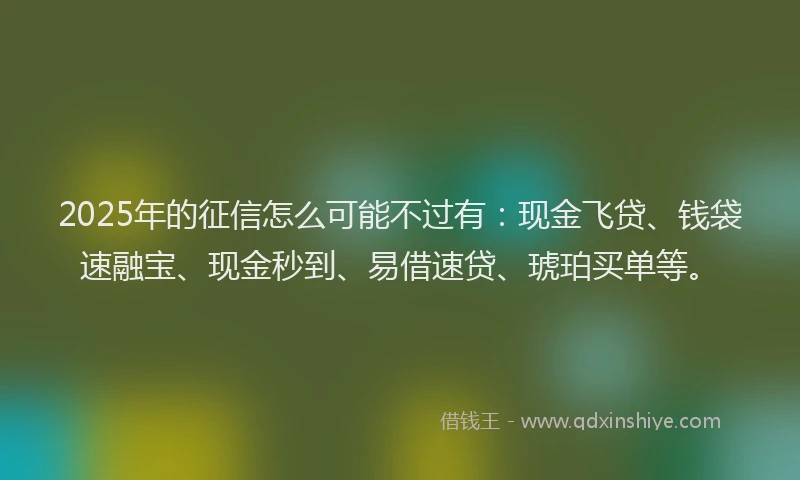 2025年的征信怎么可能不过有：现金飞贷、钱袋速融宝、现金秒到、易借速贷、琥珀买单等。