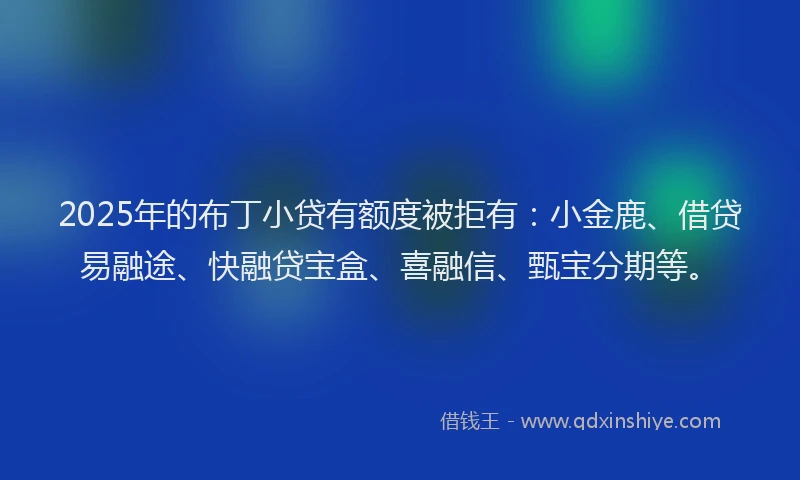 2025年的布丁小贷有额度被拒有：小金鹿、借贷易融途、快融贷宝盒、喜融信、甄宝分期等。