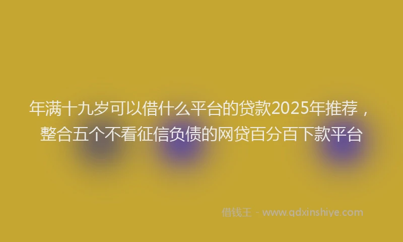 年满十九岁可以借什么平台的贷款2025年推荐，整合五个不看征信负债的网贷百分百下款平台