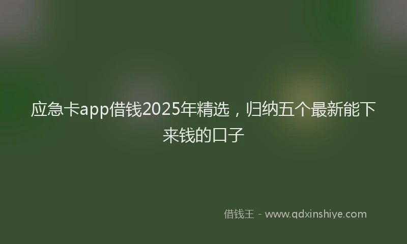 应急卡app借钱2025年精选，归纳五个最新能下来钱的口子