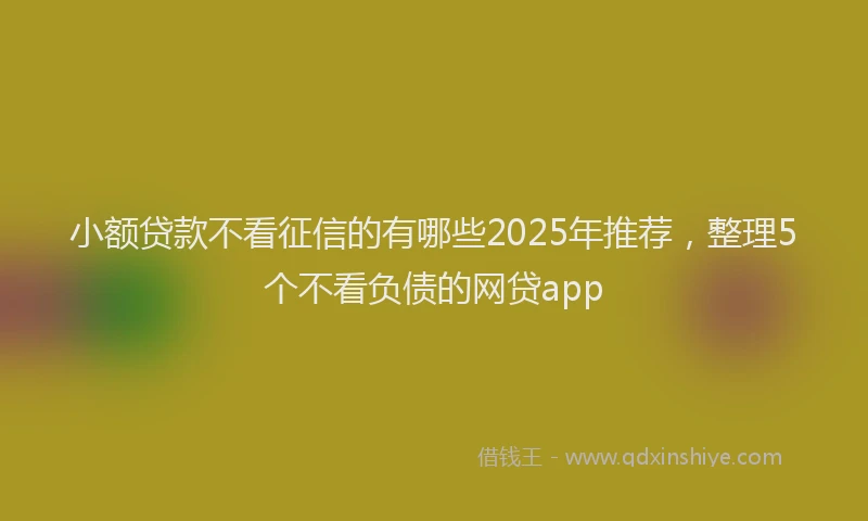 小额贷款不看征信的有哪些2025年推荐，整理5个不看负债的网贷app