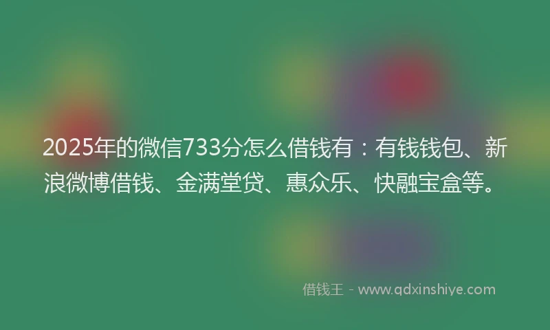 2025年的微信733分怎么借钱有：有钱钱包、新浪微博借钱、金满堂贷、惠众乐、快融宝盒等。