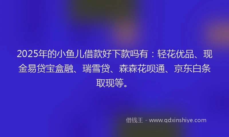 2025年的小鱼儿借款好下款吗有：轻花优品、现金易贷宝盒融、瑞雪贷、森森花呗通、京东白条取现等。