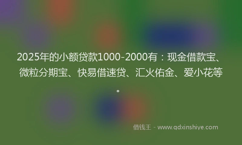2025年的小额贷款1000-2000有：现金借款宝、微粒分期宝、快易借速贷、汇火佑金、爱小花等。