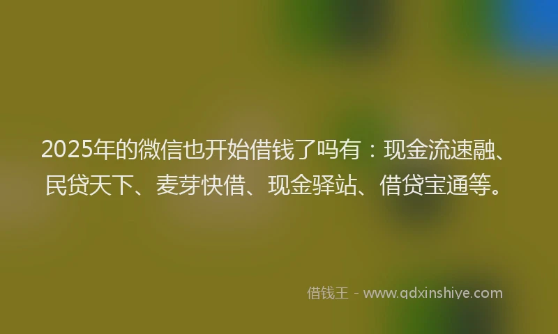2025年的微信也开始借钱了吗有：现金流速融、民贷天下、麦芽快借、现金驿站、借贷宝通等。
