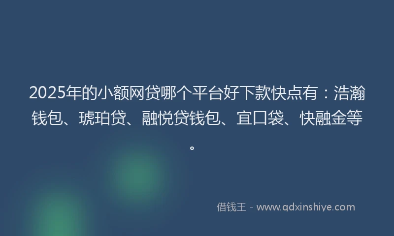 2025年的小额网贷哪个平台好下款快点有：浩瀚钱包、琥珀贷、融悦贷钱包、宜口袋、快融金等。