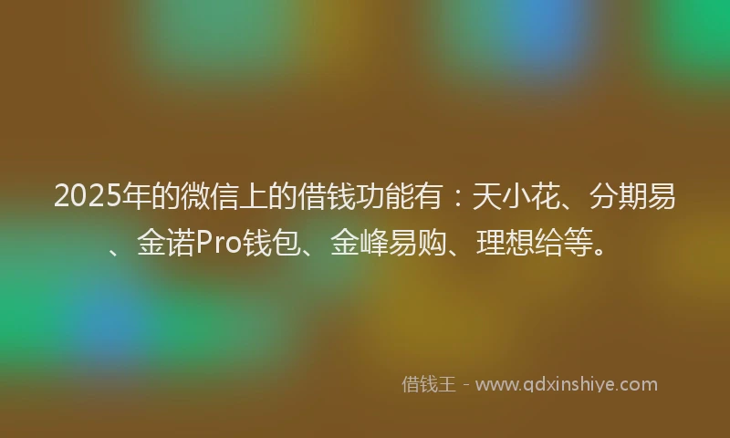 2025年的微信上的借钱功能有：天小花、分期易、金诺Pro钱包、金峰易购、理想给等。