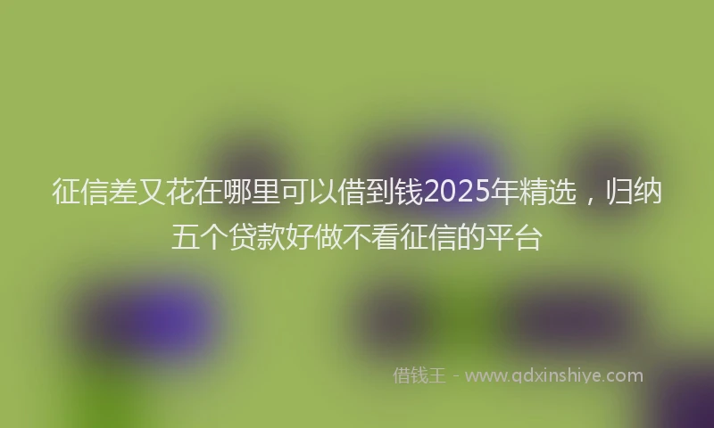 征信差又花在哪里可以借到钱2025年精选，归纳五个贷款好做不看征信的平台