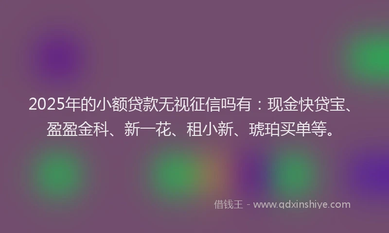 2025年的小额贷款无视征信吗有：现金快贷宝、盈盈金科、新一花、租小新、琥珀买单等。
