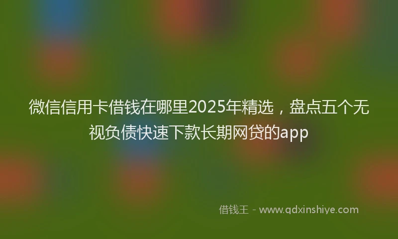 微信信用卡借钱在哪里2025年精选，盘点五个无视负债快速下款长期网贷的app
