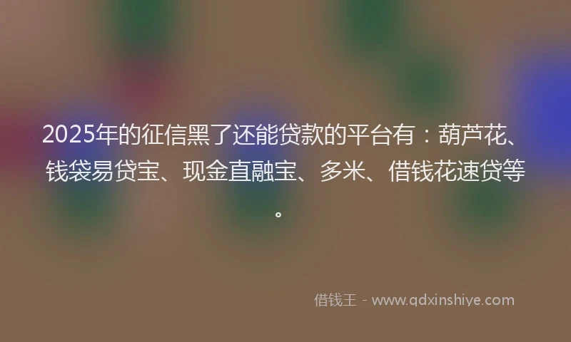 2025年的征信黑了还能贷款的平台有：葫芦花、钱袋易贷宝、现金直融宝、多米、借钱花速贷等。
