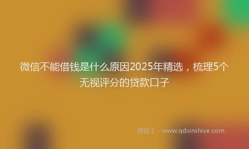 微信不能借钱是什么原因2025年精选，梳理5个无视评分的贷款口子