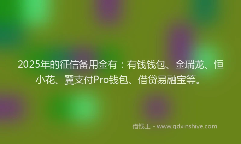 2025年的征信备用金有：有钱钱包、金瑞龙、恒小花、翼支付Pro钱包、借贷易融宝等。