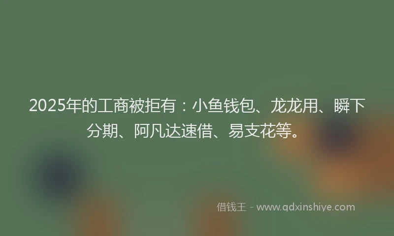 2025年的工商被拒有：小鱼钱包、龙龙用、瞬下分期、阿凡达速借、易支花等。