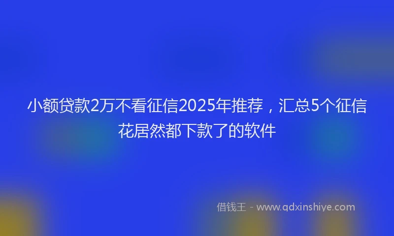 小额贷款2万不看征信2025年推荐，汇总5个征信花居然都下款了的软件