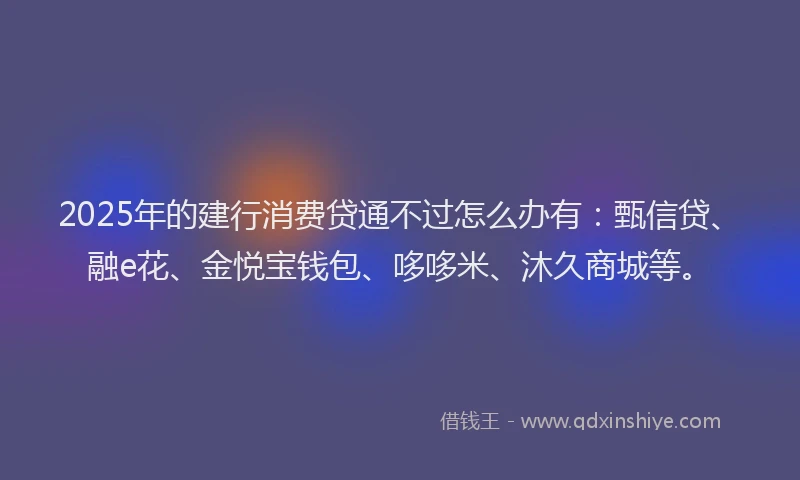2025年的建行消费贷通不过怎么办有：甄信贷、融e花、金悦宝钱包、哆哆米、沐久商城等。