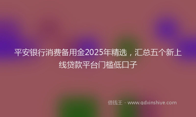 平安银行消费备用金2025年精选，汇总五个新上线贷款平台门槛低口子