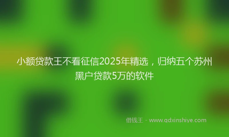小额贷款王不看征信2025年精选，归纳五个苏州黑户贷款5万的软件