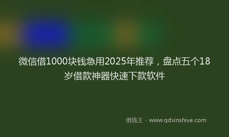 微信借1000块钱急用2025年推荐，盘点五个18岁借款神器快速下款软件