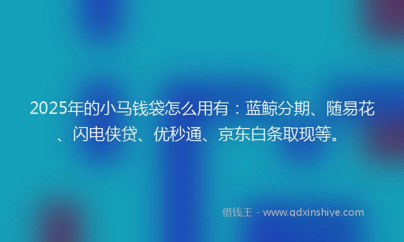 2025年的小马钱袋怎么用有：蓝鲸分期、随易花、闪电侠贷、优秒通、京东白条取现等。