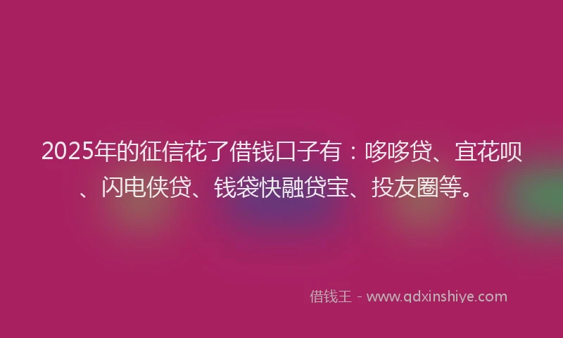 2025年的征信花了借钱口子有：哆哆贷、宜花呗、闪电侠贷、钱袋快融贷宝、投友圈等。