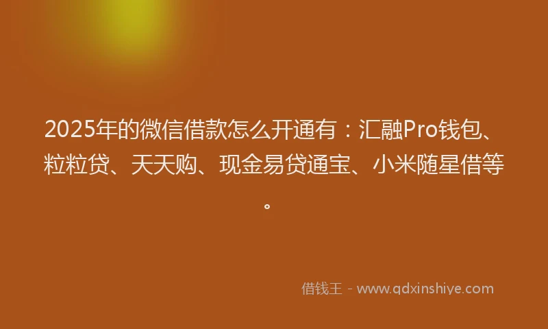 2025年的微信借款怎么开通有：汇融Pro钱包、粒粒贷、天天购、现金易贷通宝、小米随星借等。