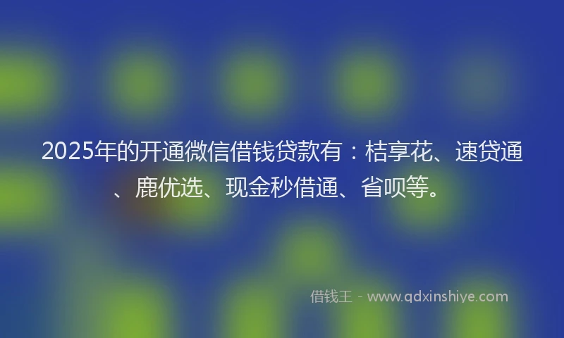 2025年的开通微信借钱贷款有：桔享花、速贷通、鹿优选、现金秒借通、省呗等。