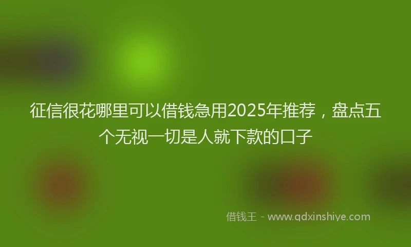 征信很花哪里可以借钱急用2025年推荐，盘点五个无视一切是人就下款的口子