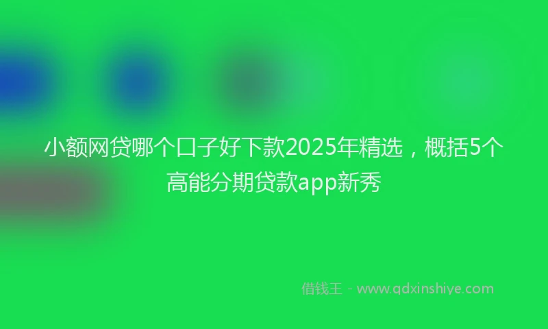 小额网贷哪个口子好下款2025年精选，概括5个高能分期贷款app新秀