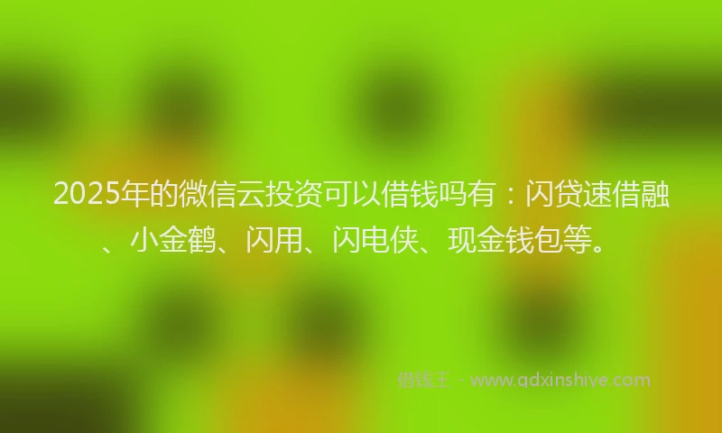 2025年的微信云投资可以借钱吗有：闪贷速借融、小金鹤、闪用、闪电侠、现金钱包等。