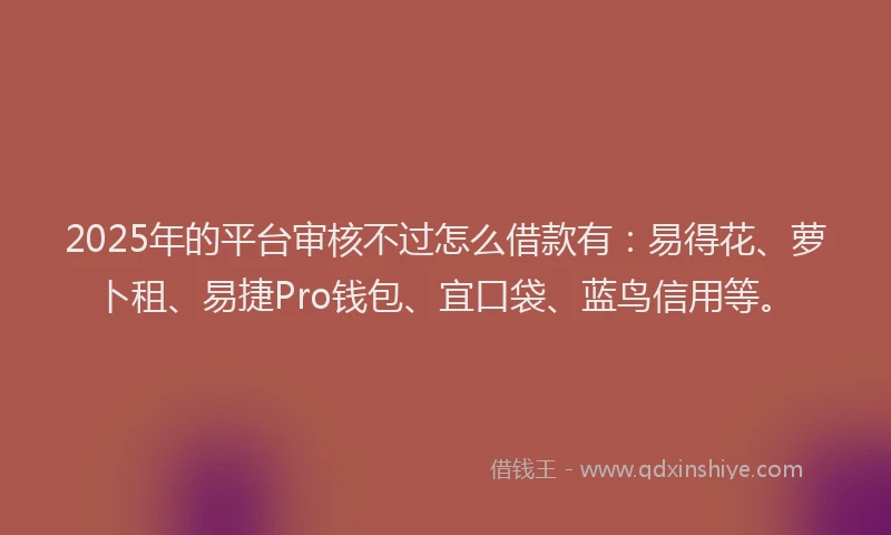 2025年的平台审核不过怎么借款有：易得花、萝卜租、易捷Pro钱包、宜口袋、蓝鸟信用等。