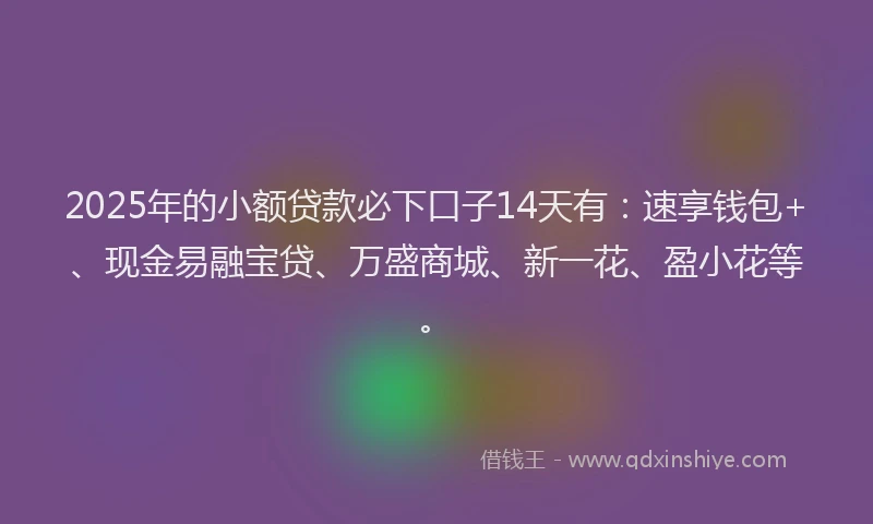 2025年的小额贷款必下口子14天有：速享钱包+、现金易融宝贷、万盛商城、新一花、盈小花等。