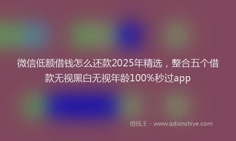 微信低额借钱怎么还款2025年精选，整合五个借款无视黑白无视年龄100%秒过app