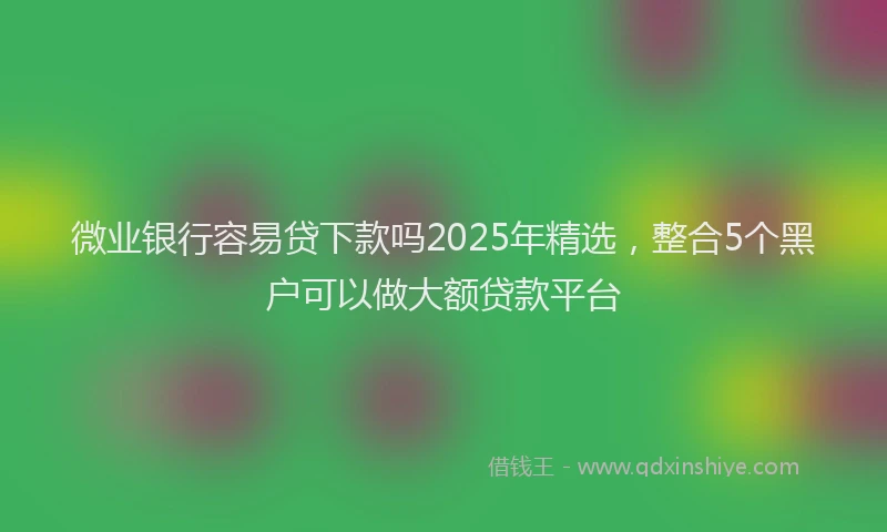 微业银行容易贷下款吗2025年精选，整合5个黑户可以做大额贷款平台